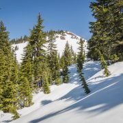 Excelsior Peak by Fossil Mountain via Excelsior Pass Trail / 愛克賽希爾峯