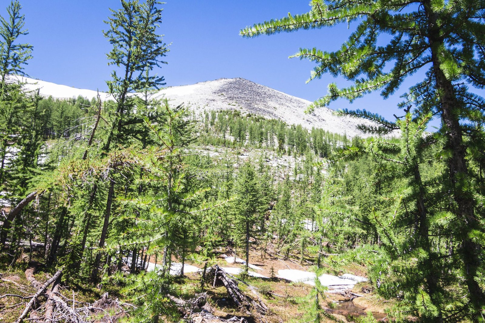 Buttermilk Ridge of Buttermilk Slam