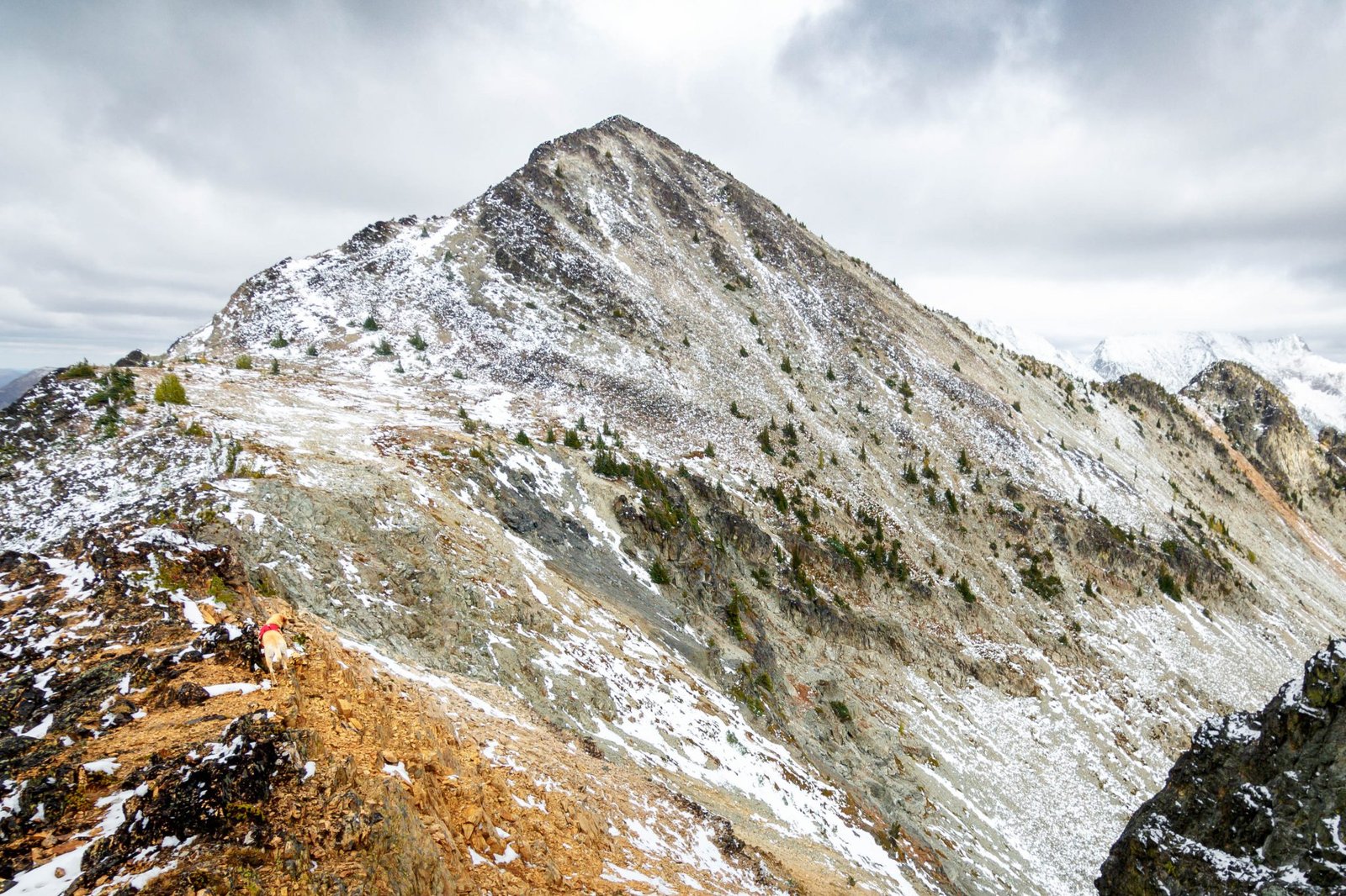 Read more about the article Mount Rolo 8096 in Pasayten Wilderness via Slate Pass / 羅洛山
