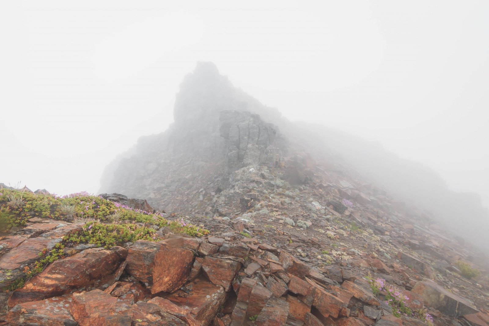 Snowgrass Mountain summit in the mist