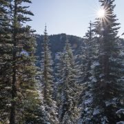 Polallie Ridge by Cooper Lake via Pete Lake Trail / 波拉里脊