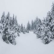 Lux Peak by Lumiere Ridge and Nasikelt Peak + Tunnel Creek / 勒克斯峯