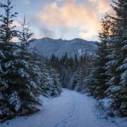 Goat Peak Trail in Easton by Snoqualmie Pass / 山羊峯