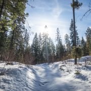 Bee Sting Hill by Plain Ridge and Natapoc Mountain / 蜂蜇山丘