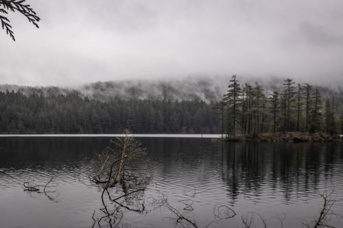 Mount Pickett in the mist