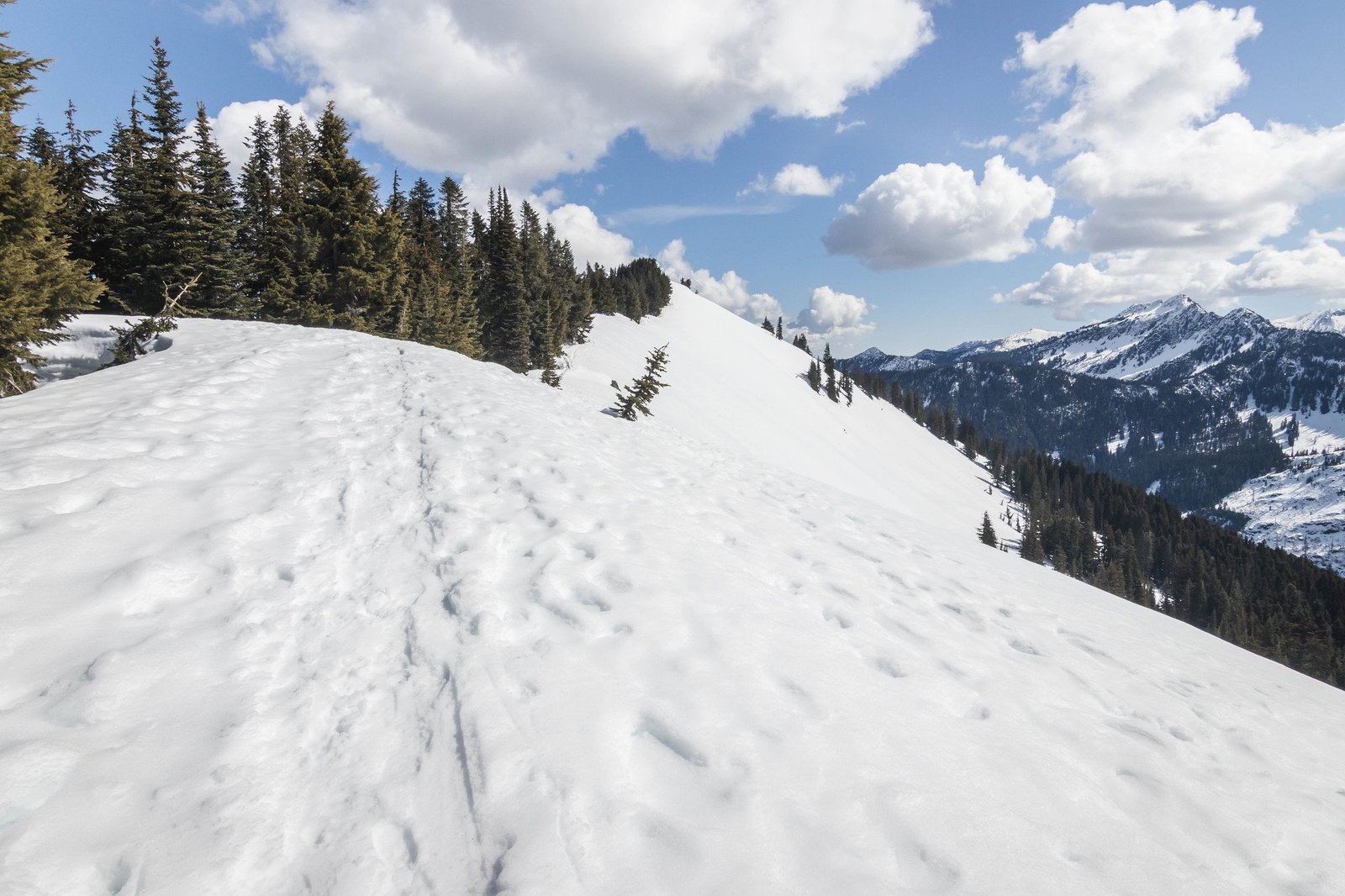 Big Chief Mountain by Cowboy Mountain via Stevens Pass Ski Resort / 大酋長山