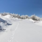Anderson Mountain by Lyman Hill and Haner Mountain / 安德森山