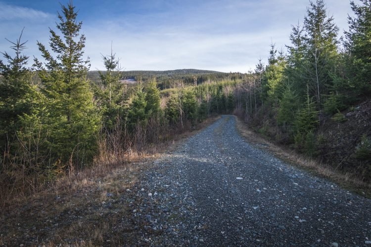 Road walk to Lyman Hill