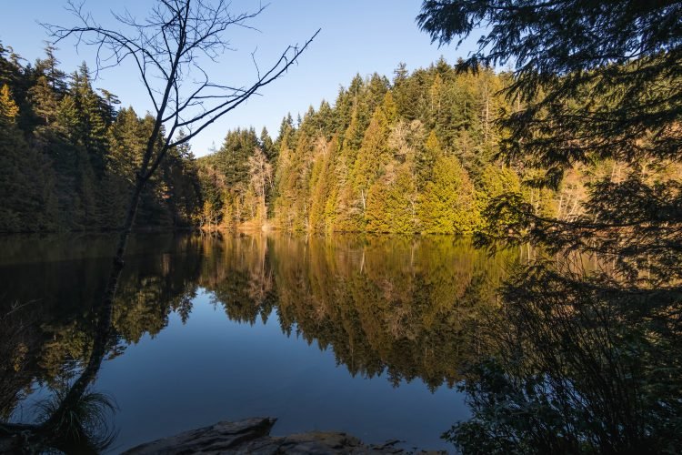 Chuckanut Mountain's Fragrance Lake