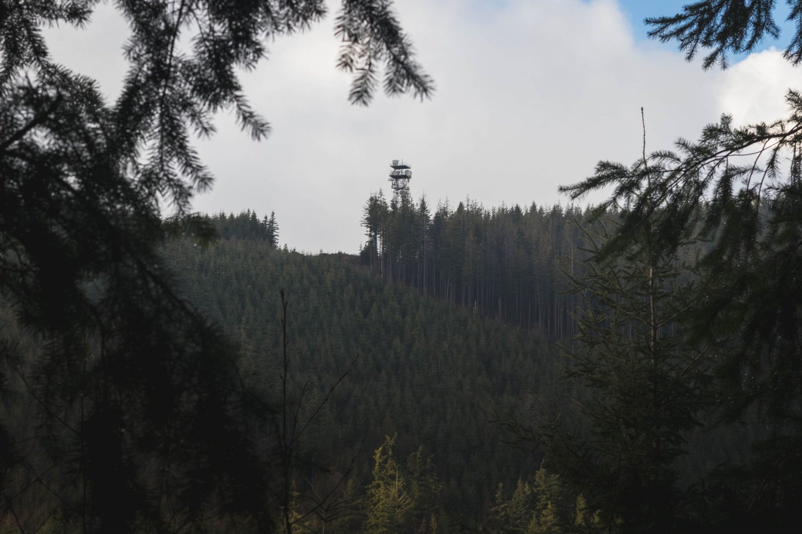 Galbraith Mountain radio tower