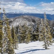Catkin Peak + McCall Mountain by Dirtyface Peak and Lookout / 卡特金峯