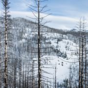 Norse Peak VII / 諾爾斯峯之七