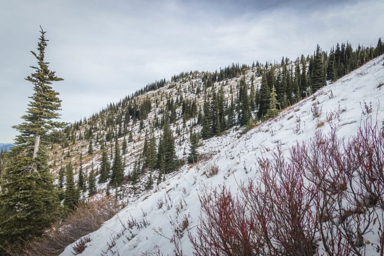 Crystal Peak, crystal clear