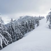 Easton Ridge by Mount Baldy and Domerie Peak via Easton / 伊斯頓脊