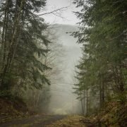 Haystack Mountain by Mount Persis via Skykomish River / 草垛山