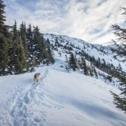 Mailbox Peak by Mount Teneriffe in Middle Fork Snoqualmie / 信箱峯