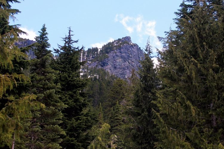 Mount Phelps above the meadow 