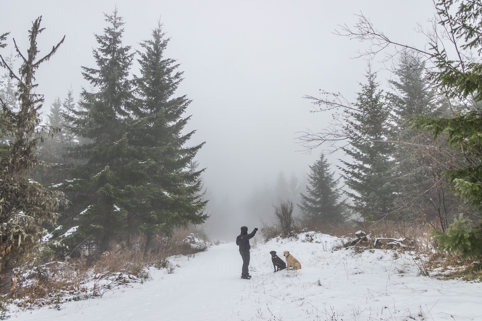 Kodak moment on Burnt Hill