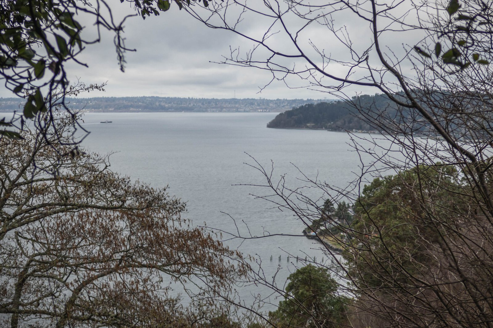 Maury Island Marine Park + Natural Area Via Vashon Island / 莫里島