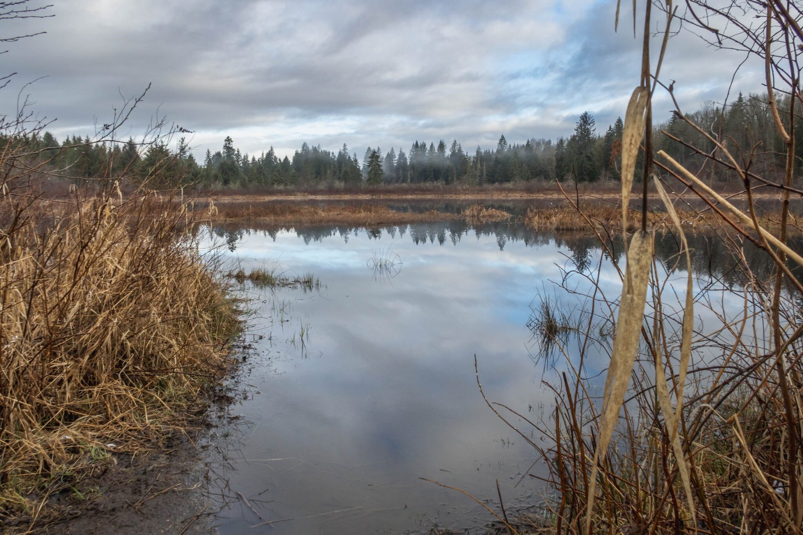 Moss Lake Natural Area by Deep Devil via Lake Joy / 莫斯湖