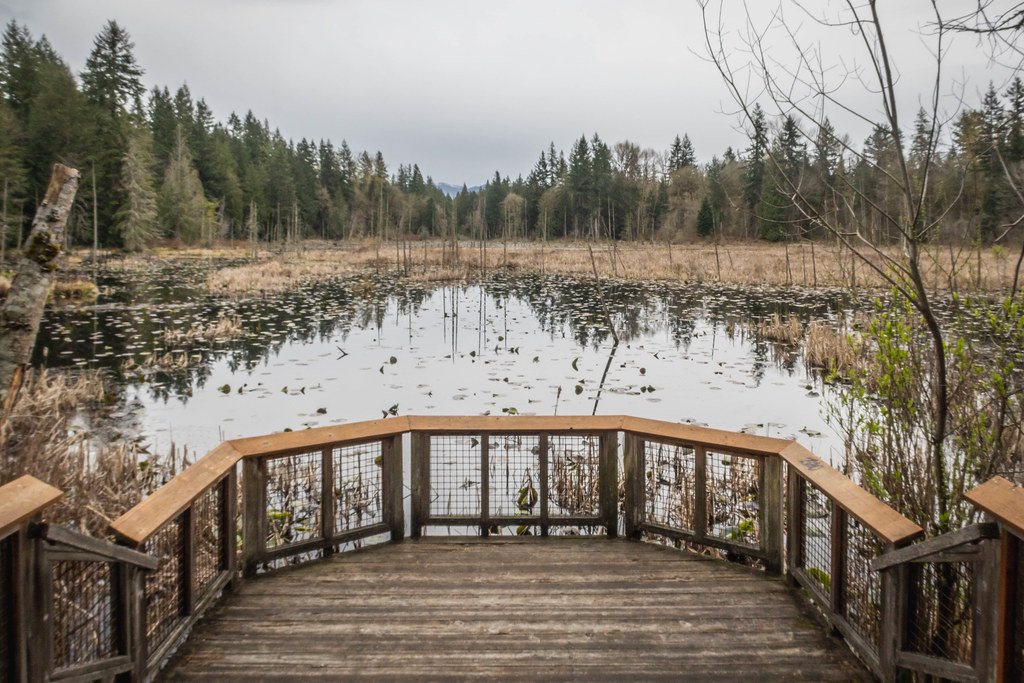 Hazel Wolf Wetlands Preserve south view