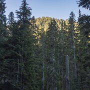 The Hydrant by Sopwith Camel Mountain via Tunnel Creek / 消防栓