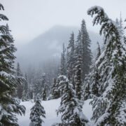 Avalanche Mountain via Snow Lake Trail by Alpental Ski Area / 雪崩山