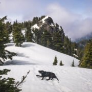 Palmer Mountain by Melted Mountain via Skykomish River / 帕瑪山